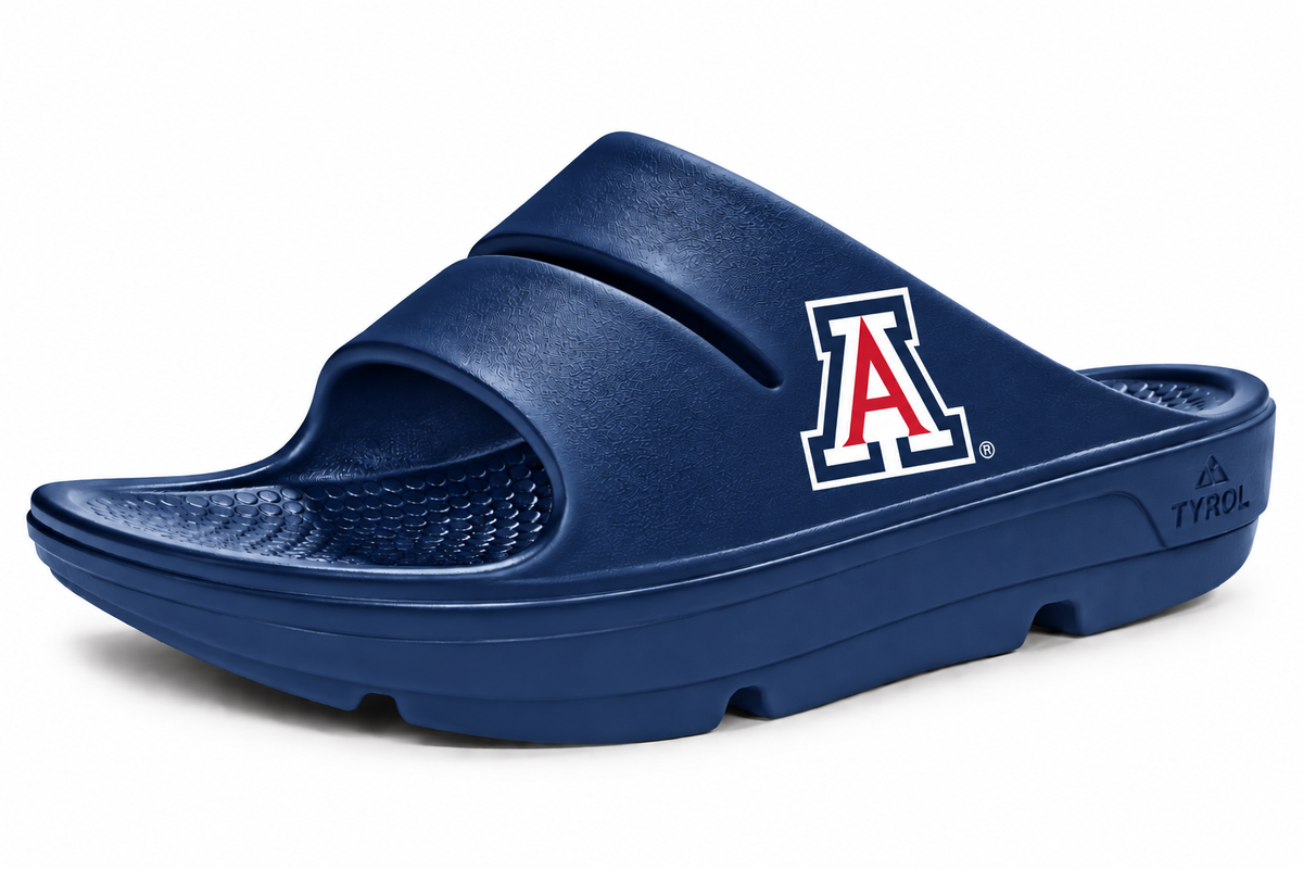 Arizona Slides