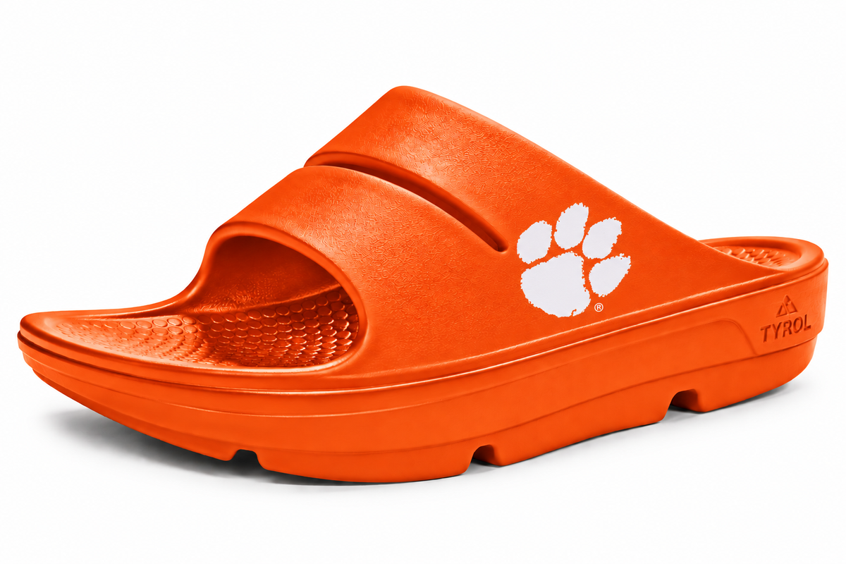 Clemson Slides