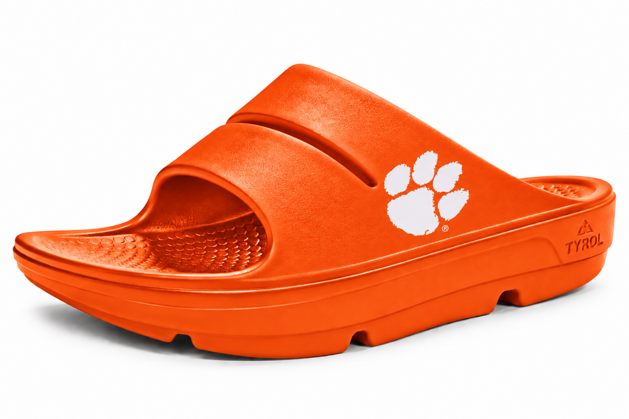 Clemson Slides