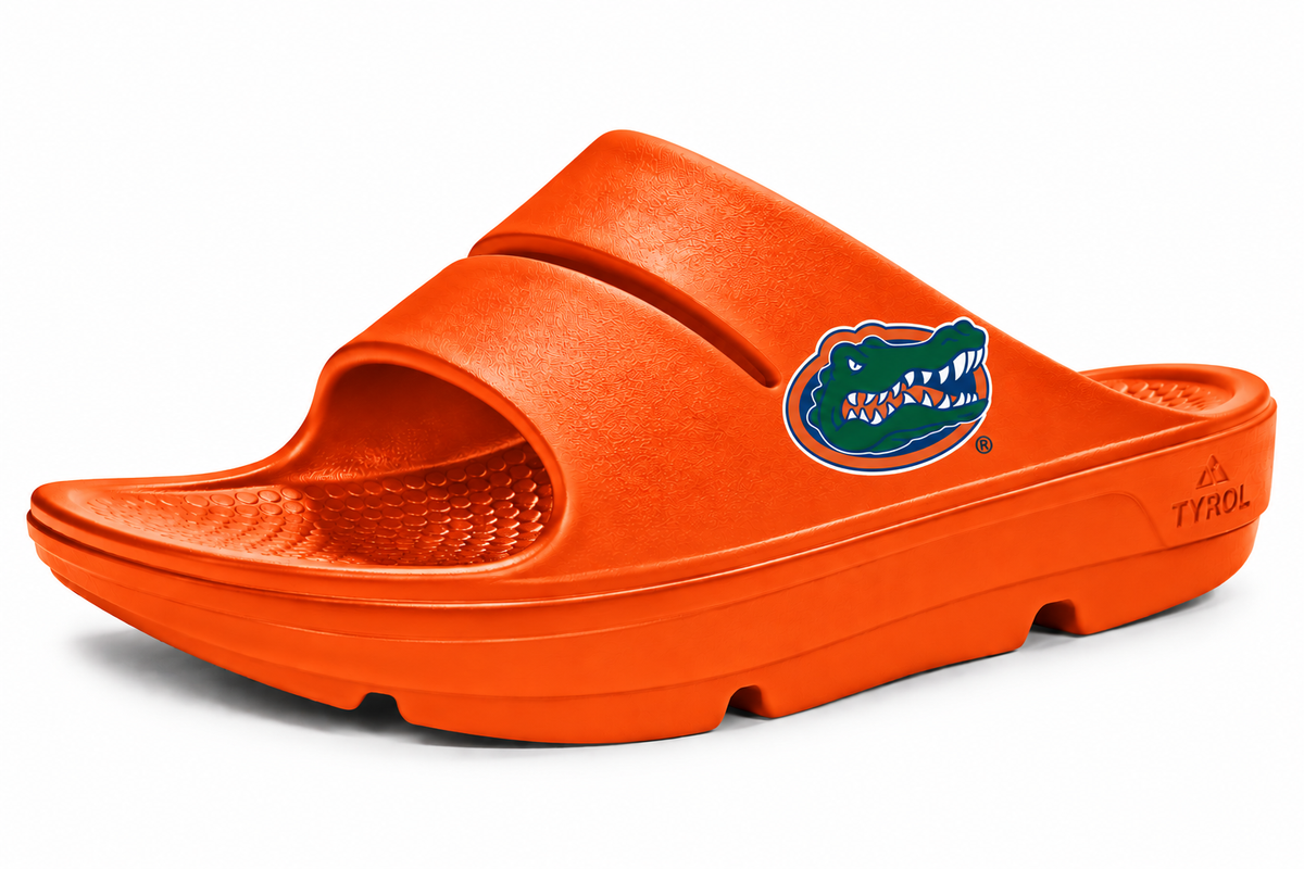 Florida Gators Slides