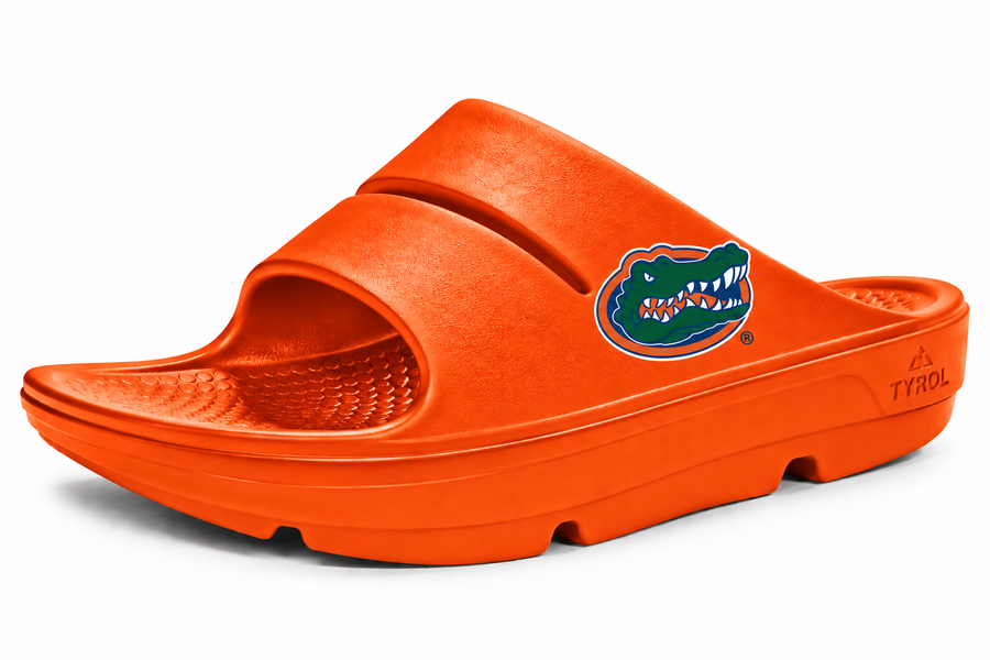 Florida Gators Slides