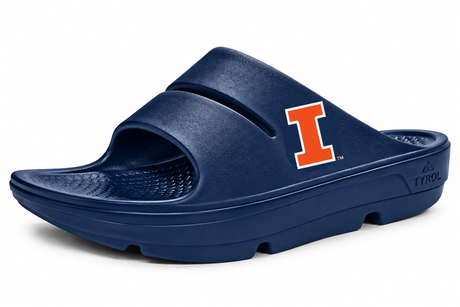 Illinois Slides