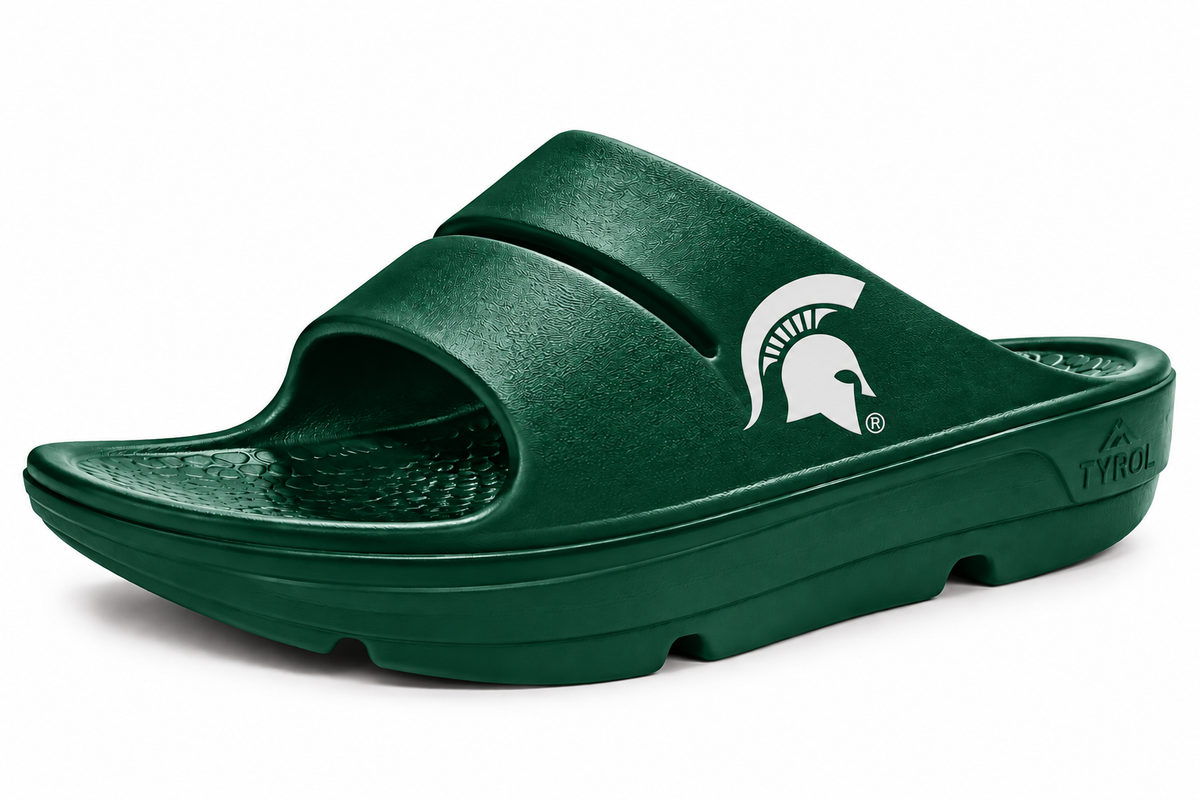 Michigan State Slides